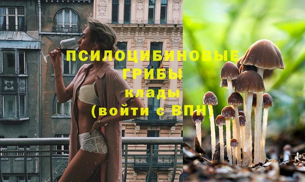 прущая мука Алексин
