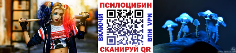 Галлюциногенные грибы Psilocybine cubensis цены Орлов